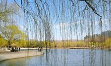 春夏的景色_400字