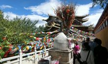 我愿与你携手_3000字