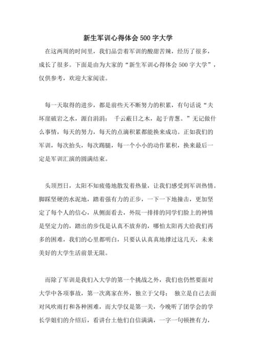 五个官方辩论_500字