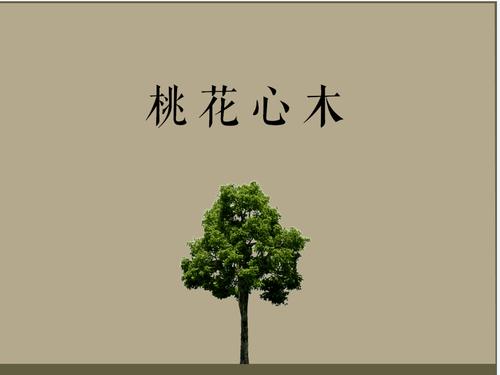 阅读“桃花木头”感觉_800字