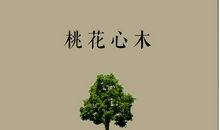 读《桃花心木》有感_800字