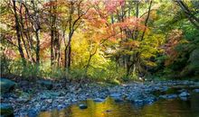 释怀（十三）（下）_800字