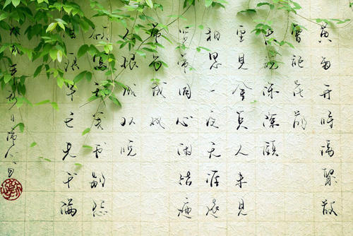 几个“蝴蝶爱花”