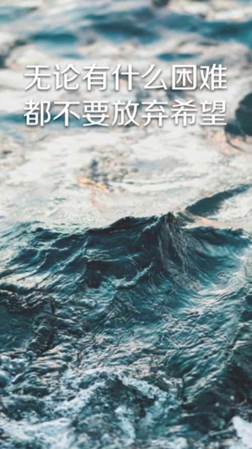 阅读“不要放弃”感觉_700字