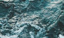 读《不言放弃》有感_700字