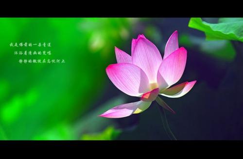 她说：“我已经等了很久了。”