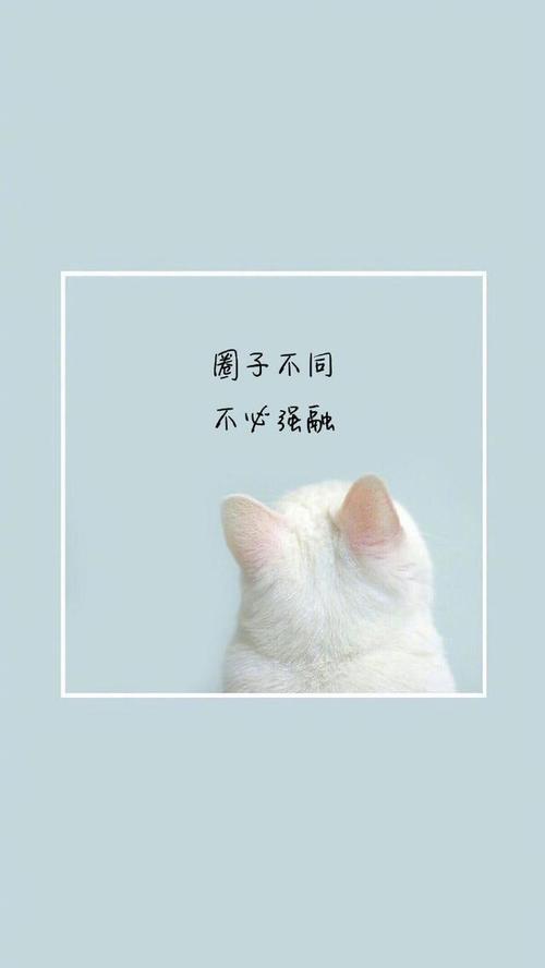 谢谢你的笑容，我疯了我的年份_500字
