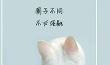 谢谢你的微笑，曾慌了我的年华_500字