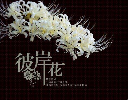 在花的另一边[1] _500字