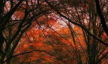 人生路上风景多_650字