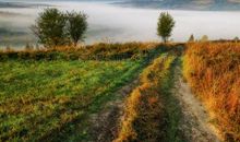 美丽如画的秋天_400字