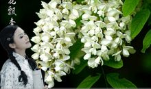 那年，槐花依旧（三）_1200字