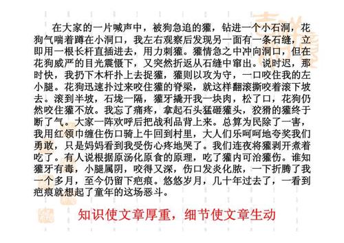 [微妙]我的目标_700字