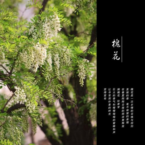 清轩回到上帝，柔软，轻轻笑着笑了笑，“请来吧。”