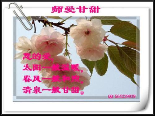 唱歌老师_700字