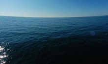 守护着大海的最后一滴眼泪_350字