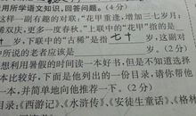 少年，那是你的喵小姐_400字