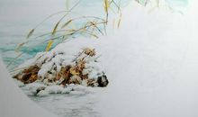 风逝云散，挥之不去的眷恋_2000字