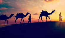 生命中曾走过的人——怪女孩_1200字