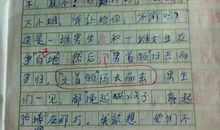 【微作文】我的目标—快乐_100字