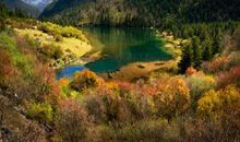 神奇的秋天_250字