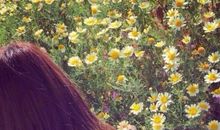 唱悲殇，心微凉（三）_1200字