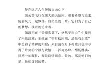 梦在远方_800字