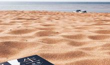 去你的人生海海（六）_1200字