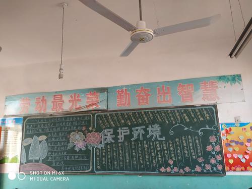 增强的环境意识倡导环境保护行为以创造绿色学校