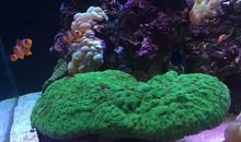 去你的人生海海（三）_650字