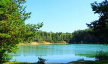 美丽的池塘_250字