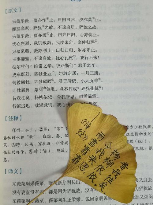 谈到“普遍的引力”，我们会想到牛顿。因为他看到苹果到他的头上，他没有落到其他地方，发现“普遍的重力”。你想不到它，牛顿小学是一团糟，它是班级的底部。但他不仅限于这一年级，决定努力工作，良好的成绩。果然，他不会有一颗心，他成功了！