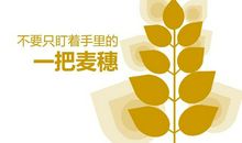 励志文章：成功者的“麦穗哲理”