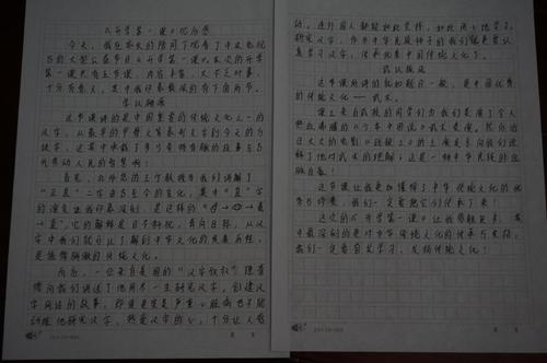 国王笔记（1）_800字