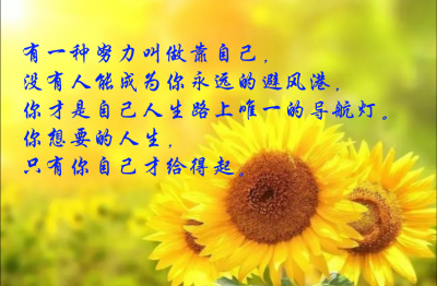 尽管如此，你仍然是我的（第2章）背叛警告_1200字