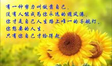 尽管如此你依然是我的唯一（第二章）背叛的预警_1200字