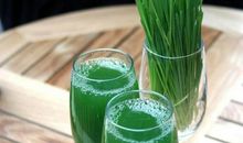 草野传(三）_650字