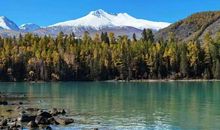 紫颜知己(十五)_650字