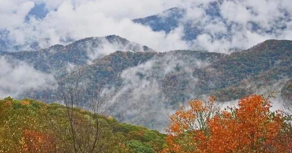 永勇新午安黄胡声，我讨厌老年。