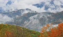 雍雍新雁咽寒声，愁恨年年长相似。