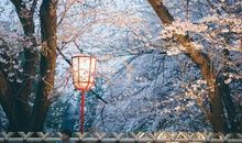 或许你不会错过（一）_300字