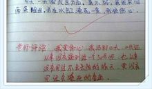 【微作文】阳光的快乐_100字