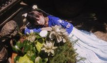 双燕飞来，陌上相逢否？撩乱春愁如柳絮。