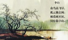 众鸟高飞尽，孤云独去闲。