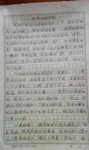 [微文本]雨天晴朗_100字