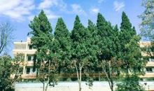 磨平悸动的时间_3000字