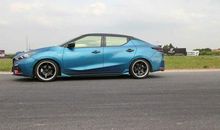 永不变色的蓝鸟