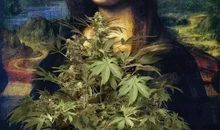 流泪的蒙娜丽莎