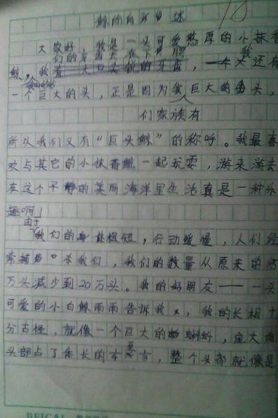 安全的鞋子_400字