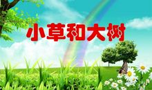 《小草和大树》读后感_600字